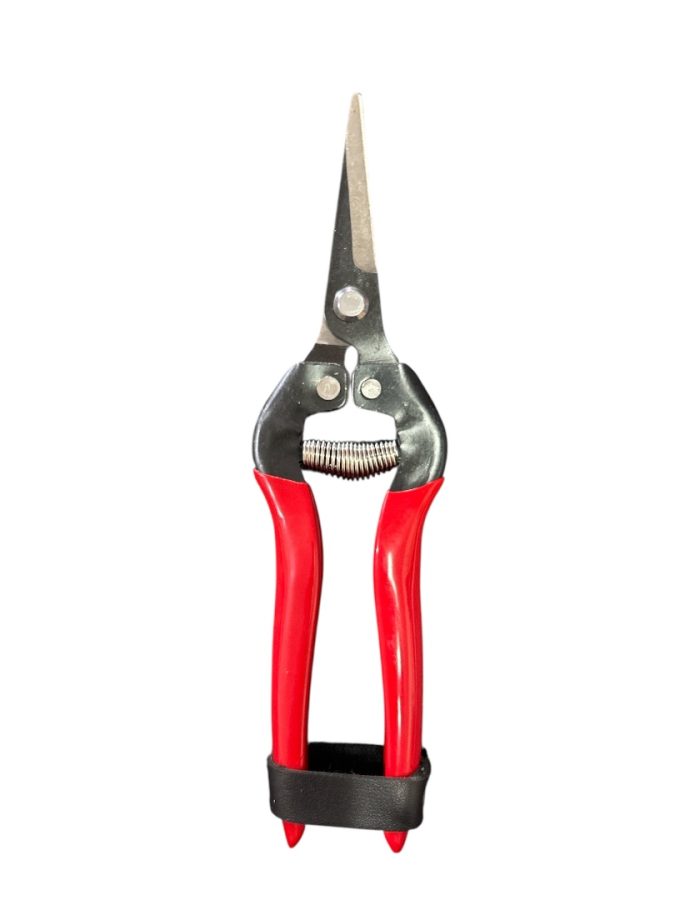 Forbice Cogliuva Retta 16cm Falci