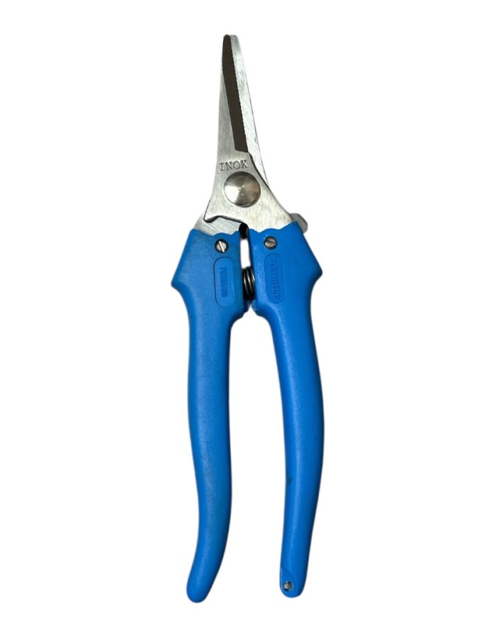 Forbice Cogliuva Inox Grande Stretta 19cm 01325