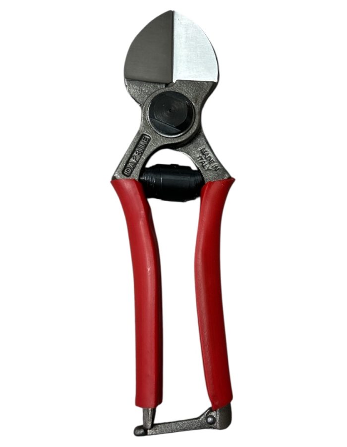 Forbici Frutteto 01290